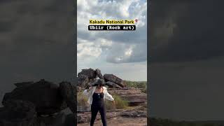 Kakadu apt australia ubiir rockart wildlife crocodile trendy viralvideo workandholiday fyi [upl. by Millham692]