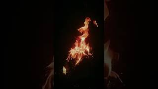 Intense Close Up of a Roaring Fire Flames in Slow Motion 17 [upl. by Ryan723]