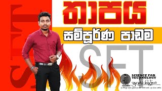 SFT Free Seminar 02 2024  තාපය  සුගන්ධ කිතුල්ගොඩ  තාපය කන හරහා මොළයට [upl. by Emlin]