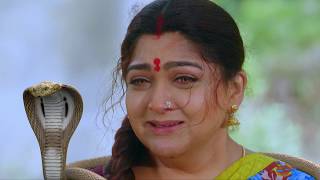 Nandhini  நந்தினி  Episode 456  Sun TV Serial  Super Hit Tamil Serial [upl. by Elvin252]