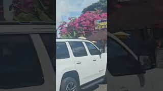 Shops at Haleiwa Hawaii hawaii haleiwa driving travel [upl. by Amaris367]