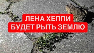 🤬 ВЕЛИКИЙ ГЭТСБИ И НЕПОБЕДИМАЯ ЛХ обзор ленахеппи облогерах [upl. by Beard]