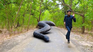 Anaconda Snake Attack in Road [upl. by Anurag]