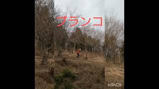 マスブチ仮面 裏山 山遊び アスレチック 楽しい [upl. by Hadwin]