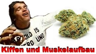 Kiffen und Muskelaufbau  Einfluss von THC im Cannabis auf die Muskeln [upl. by Yornoc]