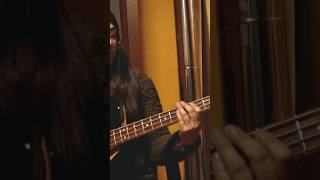 Procedimientos para llegar a un común acuerdo  Cover Bass [upl. by Einuj]