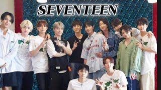 𝑺𝑽𝑻 2024 seventeen playlist  세븐틴 명곡  노동요  60곡 [upl. by Auqkinahs]