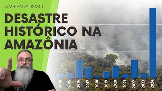 ÍNDICE de DEVASTAÇÃO da AMAZÔNIA atinge RECORD HISTÓRICO em 2024 com DESCASO e HIPOCRISIA de LULA [upl. by Arno]