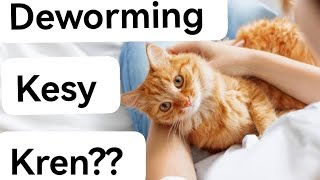 Deworming of persian cats  cats k pait me keeray khatam kesy kren  Urdu  Hindi [upl. by Nemracledairam]