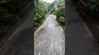 Strolling in Koh Tao Thailand [upl. by Hannon201]