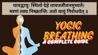 Yogic Breathing ll A powerful technique ll योगी की तरह श्वास लेना सीखो और अनगिनत सिद्धियां पाओ l [upl. by Euqilegna748]