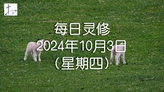 每日灵修2024年10月3日（星期四）腓立比书2章12至16节 English translation in description box [upl. by Napoleon]