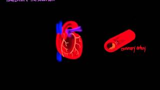 Ischemia and Infarction [upl. by Asaph467]