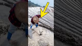 Preparation of Terraced Fields for Rice Cultivation shorts [upl. by Eitirahc]