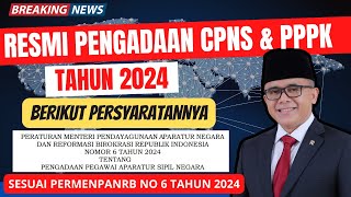 RESMI PENGADAAN CPNS DAN PPPK TAHUN 2024 I CEK PERSYARATANNYA [upl. by Letsyrc897]