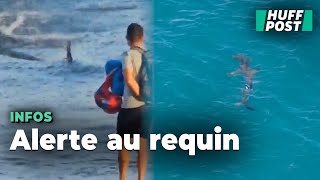 Un requin a semé la terreur sur ces plages des Canaries [upl. by Ardnassac802]