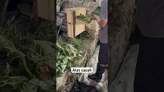 Alat cacah [upl. by Carrew]