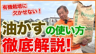 家庭菜園や農園の夏野菜栽培に向けた油粕の使い方！有機栽培に欠かせない窒素豊富な肥料で野菜を大きく育てる方法を徹底解説！【農園ライフ】 [upl. by Sheffield]