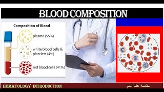 Lecture 52 Blood Composition [upl. by Sitarski]