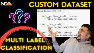 Multi Label Classification Customized Pytorch Dataset [upl. by Akinihs]