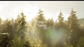 Pine Forest  Unreal Engine 5 [upl. by Albina]