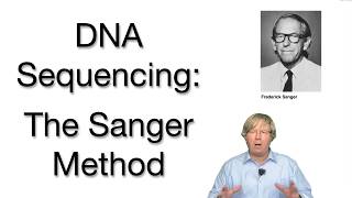 DNA Sequencing Sanger Method and Beyond Explained [upl. by Adrianna]