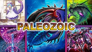 Paleozoic Deck 2024 EDOPRO [upl. by Anegal]