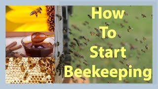 Beekeeping How To Start Beekeeping In 2025 [upl. by Renraw]