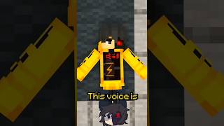 Ethos Voice Glitch In Minecraft [upl. by Annahaj]