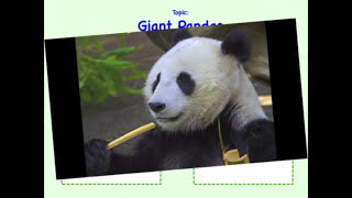 Integrating Information from Multiple Texts  4th Grade Reading  eSpark Instructional Video [upl. by Sall258]