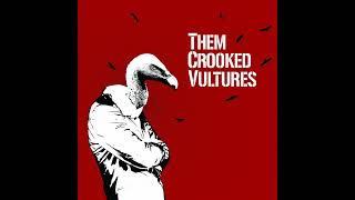 Them Crooked Vultures  Bandoliers [upl. by Lehplar]