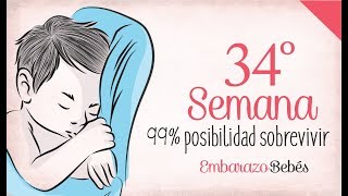 SEMANA 34 de Embarazo  8º Mes  Semana a semana [upl. by Anahsahs]