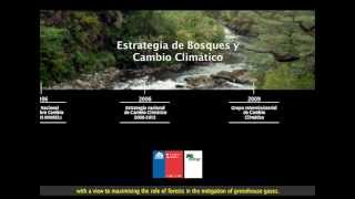 Los Bosques en la Mitigación del Cambio Climático [upl. by Sinclare]