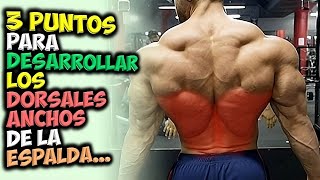 3 PUNTOS Para DESARROLLAR ✔ Unos DORSALES Anchos Y Musculosos 👉 Gana Una ESPALDA Grande [upl. by Aenal]