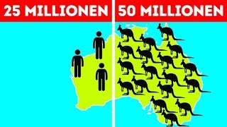 50 Fakten über Australien die alle Vorurteile zerstreuen [upl. by Bannerman]