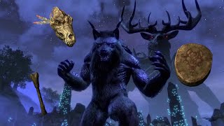 The Elder Scrolls Skyrim The Companions The Totems Of Hircine [upl. by Nessej]