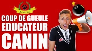 FORMATION ÉDUCATEUR CANIN  La réalité des FORMATIONS [upl. by Selie]