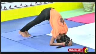 Dr Lakshmi Andiappans Yoga Therapy Program for Various Ailments 16 05 2013 [upl. by Cutcliffe850]