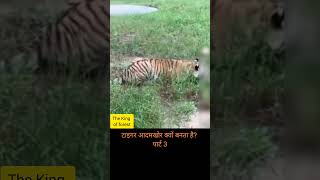 Maneaters Part 3 maneater jimcorbett tiger shikar tigress wildlife wild [upl. by Hctud]