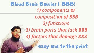 blood brain barrier BBB explained in urdu hindi [upl. by Christopher]