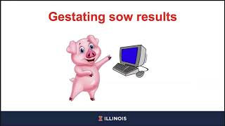 Digestibility of energy by gestating and lactating sows and concentrations of De and ME [upl. by Scholem]