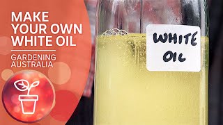 DIY White Oil  Gardening hacks  Gardening Australia [upl. by Nanam780]