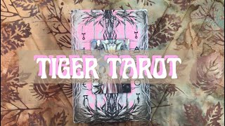 Tiger Tarot Flipthru 🐅🌸🫠 [upl. by Nosac467]