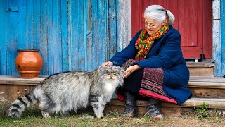 RARE WILD CAT Lives With Grandma What Scientists Discovered Will AMAZE You [upl. by Llerryt]