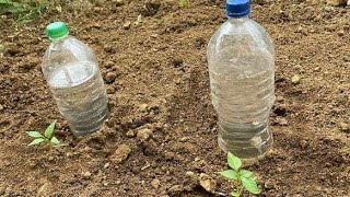 Make Drip Irrigation from recycled plastic bottlesSelf watering System for Plants made simple [upl. by Ilanos]