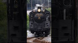 【4K縦動画】C58363 門デフ！秩父鉄道・SLパレオ 白久〜三峰口通過 ChichibuRailway Steam locomotive Class C58 quotPALEO EXPRESSquot [upl. by Undine518]