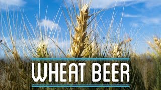 Wheat Beer from Scratch  How to Brew Everything [upl. by Johanan]