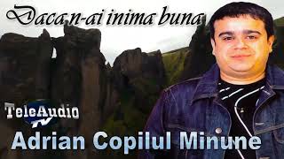 Adrian Copilul Minune  Dacă nai inima bună  Audio 2001 [upl. by Annaitsirhc]