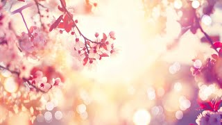 Relaxing Sleep Music • Soft Piano Music for Yoga Meditation Sleep and Relaxation 98 [upl. by Nahgaem]