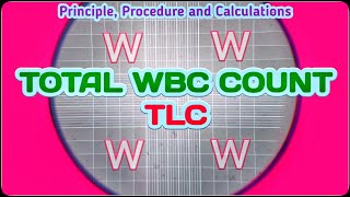 Total Leukocyte Count  TLC Blood Test Procedure  Total WBC Count Experiment [upl. by Lynd]